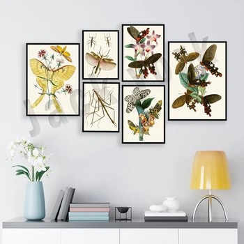 плакат с пеперуда от 18-ти век, цикада, лястовича опашка, лунен молец, молец, метаморфоза пеперуди yi, отпечатък на жизнения цикъл на насекомите
